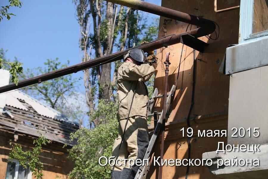 1795782_911713492212354_2504113873381573823_n