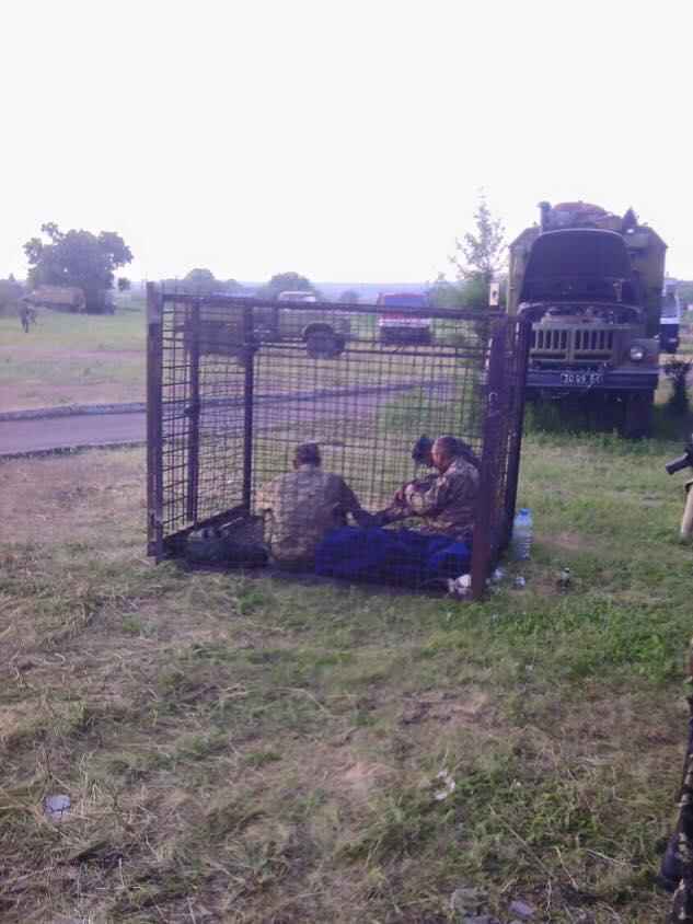 11389999_375343049331119_3483935444746642682_n