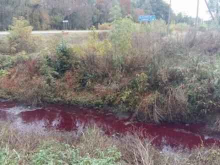 5272d21a177bb1166d9c326adcf42fbe0a1bb4b9